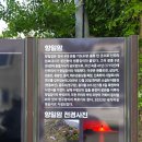 향일암공영주차장 | 여수 향일암 공영주차장 석가탄신일 아침 주차 성공후기