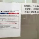 송림동물병원 이미지