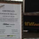 맥과이어스센터 이미지