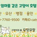 칠공이 이미지