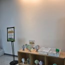 버블랜드 | 용인어린이상상의숲 최고의 가족 판타지 매직 버블 공연 매직 인 버블랜드 생생후기