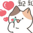 프로카클리닉 이미지