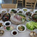 비원쏘가리 이미지