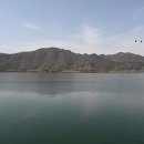 호수카써비스 이미지