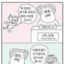 스테로이드 연고 작용 원리 이미지