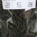 콩이랑 곤드레 이미지