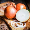 더 가까운 동물병원 이미지