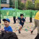 덕의초등학교 | 덕의초등학교 가을운동회 꿈나무들의 자람이 한뼘 보이는 행사 후기입니다.