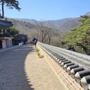 통도사평생교육원 이미지