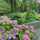 통나무집가든 이미지