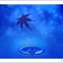 연동초교 이미지