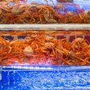 세부수산 네이버블로그