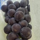 대원관광농원 이미지