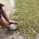 충영농장 이미지