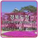 금정클린케어