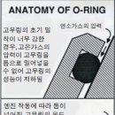 챌린저호 이미지