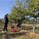 남정면사무소 이미지