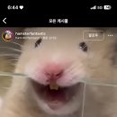 스타트 게임랜드 이미지