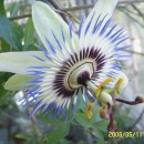 山川에서 이미지