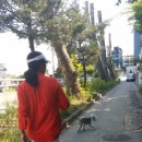 펫토이동물병원 이미지