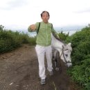 입장농협주유소 이미지