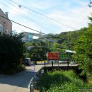 동막동(3) Daum카페