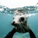 문장로-7 이미지