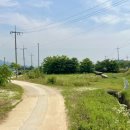 삼거리천곡고인돌 이미지