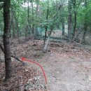 작천농장 이미지