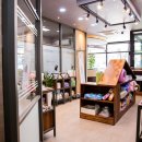 윌동물외상센터 이미지