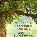 파인빌1차아파트 이미지