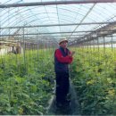 세도농장 이미지