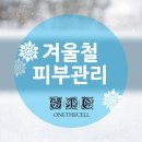 원더에셀 이미지