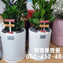 미화화원 이미지