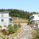 기장군농업기술센타 이미지