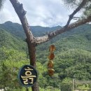 무릉도원 - 산청군 대원사길 595-20 | 강원도 영월 펜션 무릉도원 흙집 방문후기