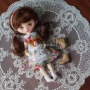 루루베리 이미지