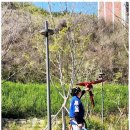 해동검도 장전본관 이미지