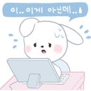 정경옥웨딩