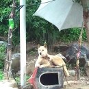 구름발치 이미지