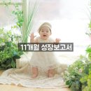 서청주어린이집 | 발달사항(잡고 걷기 시작, 손떼고 서있기), 무너진 수면패턴, 어린이집 그리고 감기 시작, 이빨 8개...