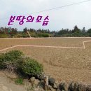 조수리엔 이미지