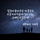 해설자료 ●귀뚜라미 울음소리의 비밀● 이미지