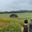 선운산농장 이미지