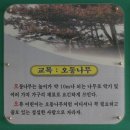 오류초교 Daum카페