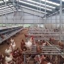 홍길동농장 이미지