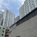 콜라보하우스조이 이미지