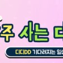 디디피엘
