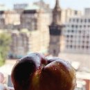 보스턴 호텔 | [The Newbury Boston] 더 뉴버리 호텔 보스턴, 숙박 후기