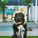 벌곡 멍발리 이미지